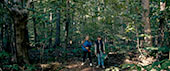 The Wildman Of Shaggy Creek Movie Still 26